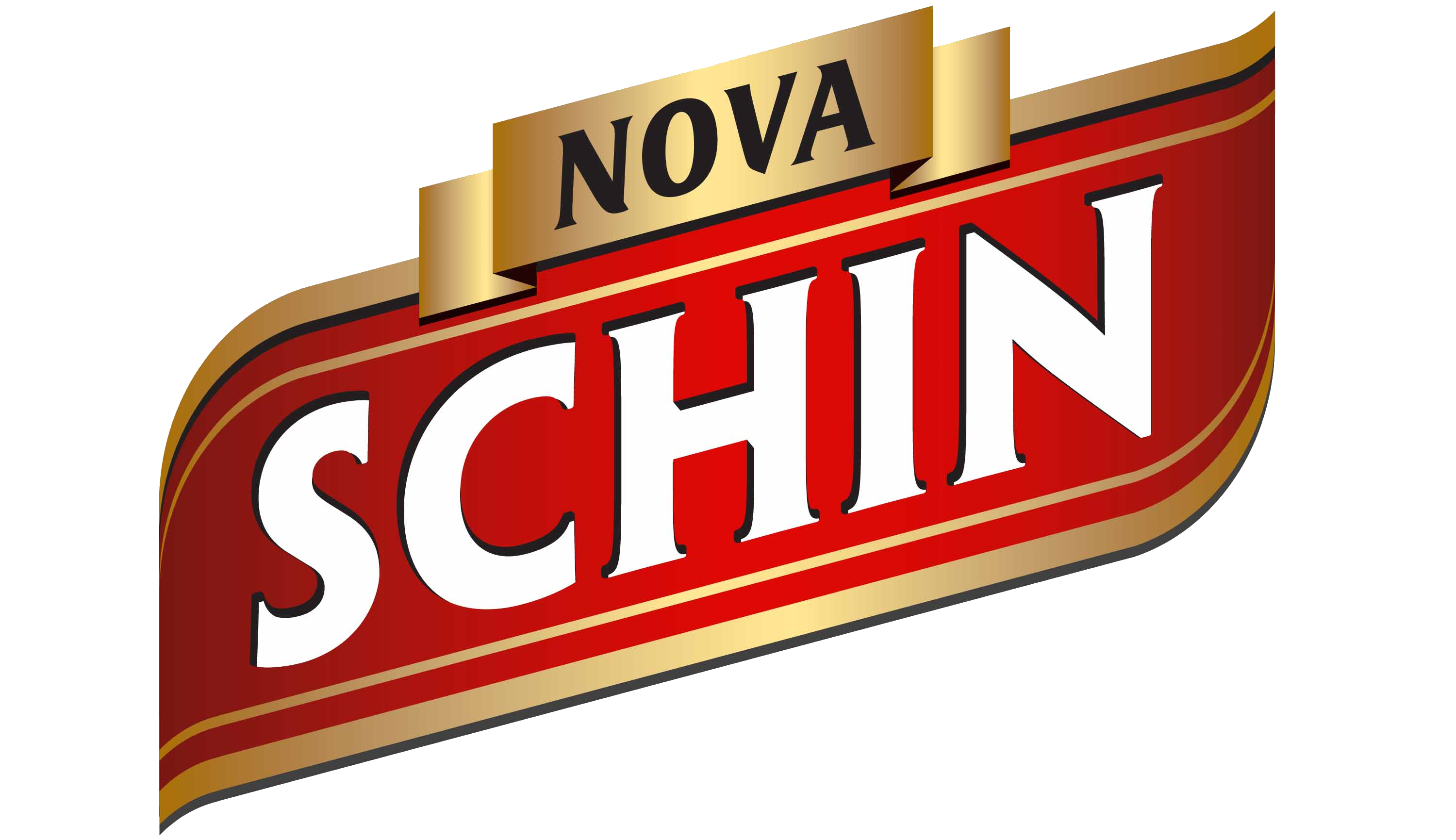 Schin